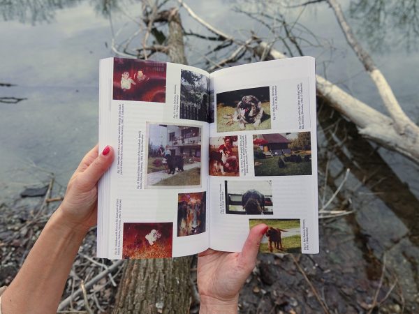 Life is Other, Blick ins Buch