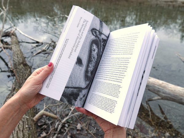 Life is Other, Blick ins Buch