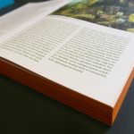 Heterotopien des Künstlerischen und Geografien des Textilen, Farbschnitt