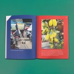 Bong Bong, Blick ins Buch