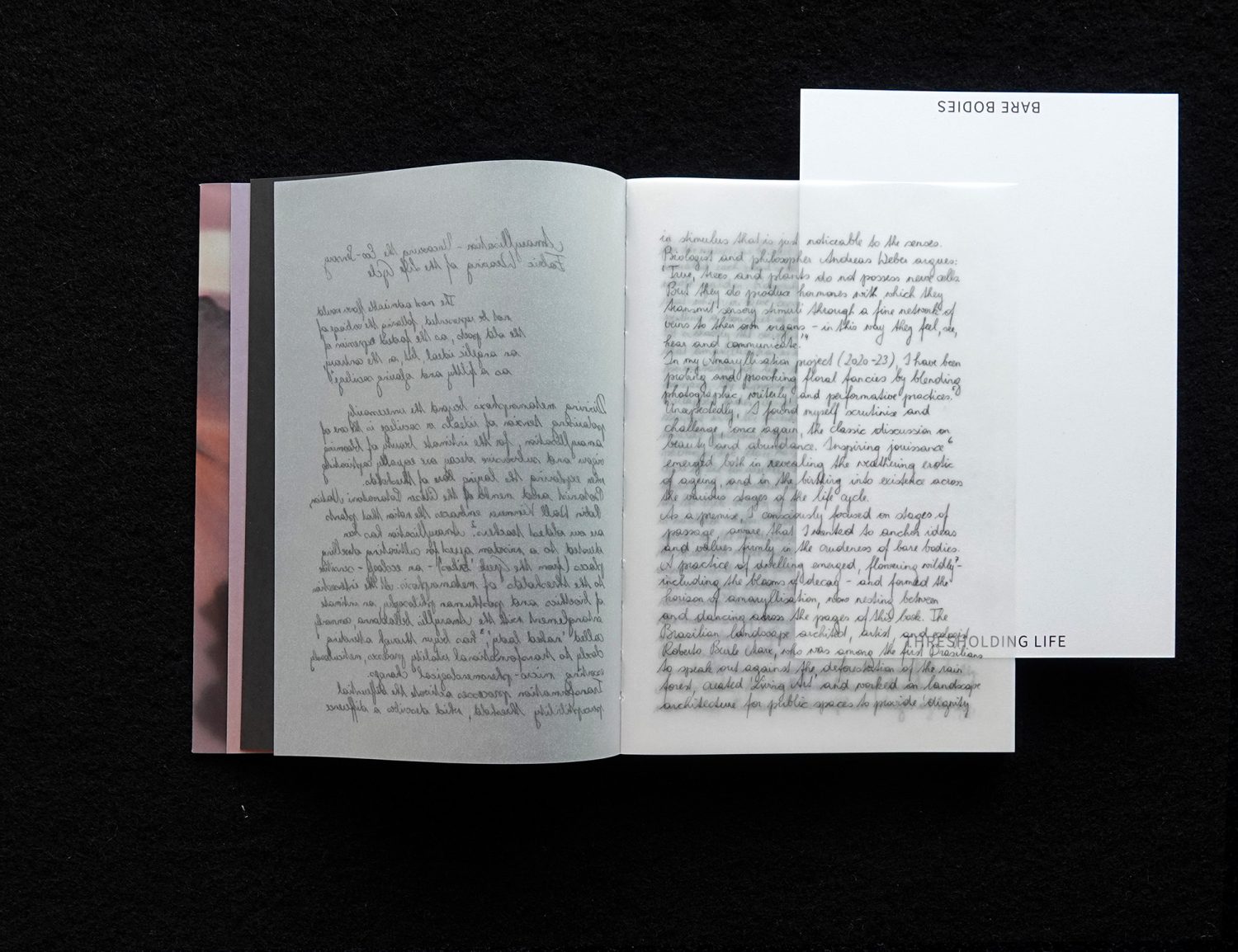 Bare Bodies – Thresholding Life, Einleitung auf transparenten Seiten