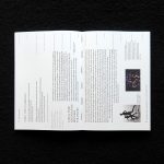 Bare Bodies – Thresholding Life, Blick ins Buch