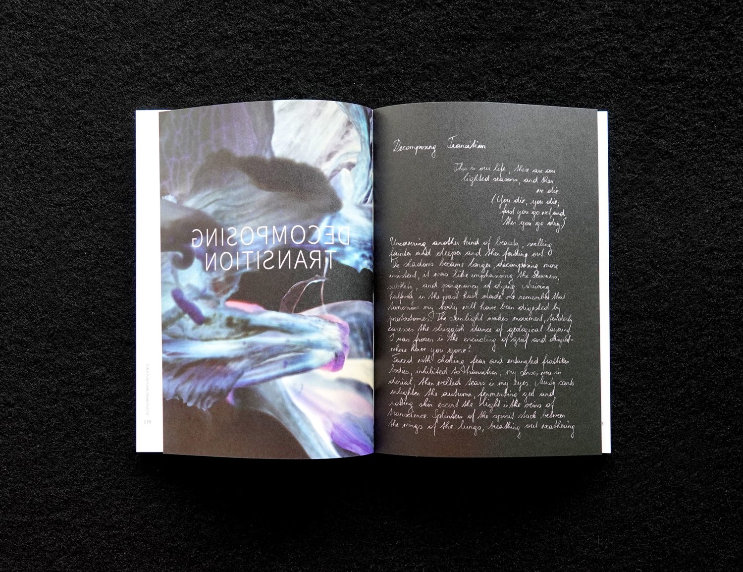 Bare Bodies – Thresholding Life, Blick ins Buch