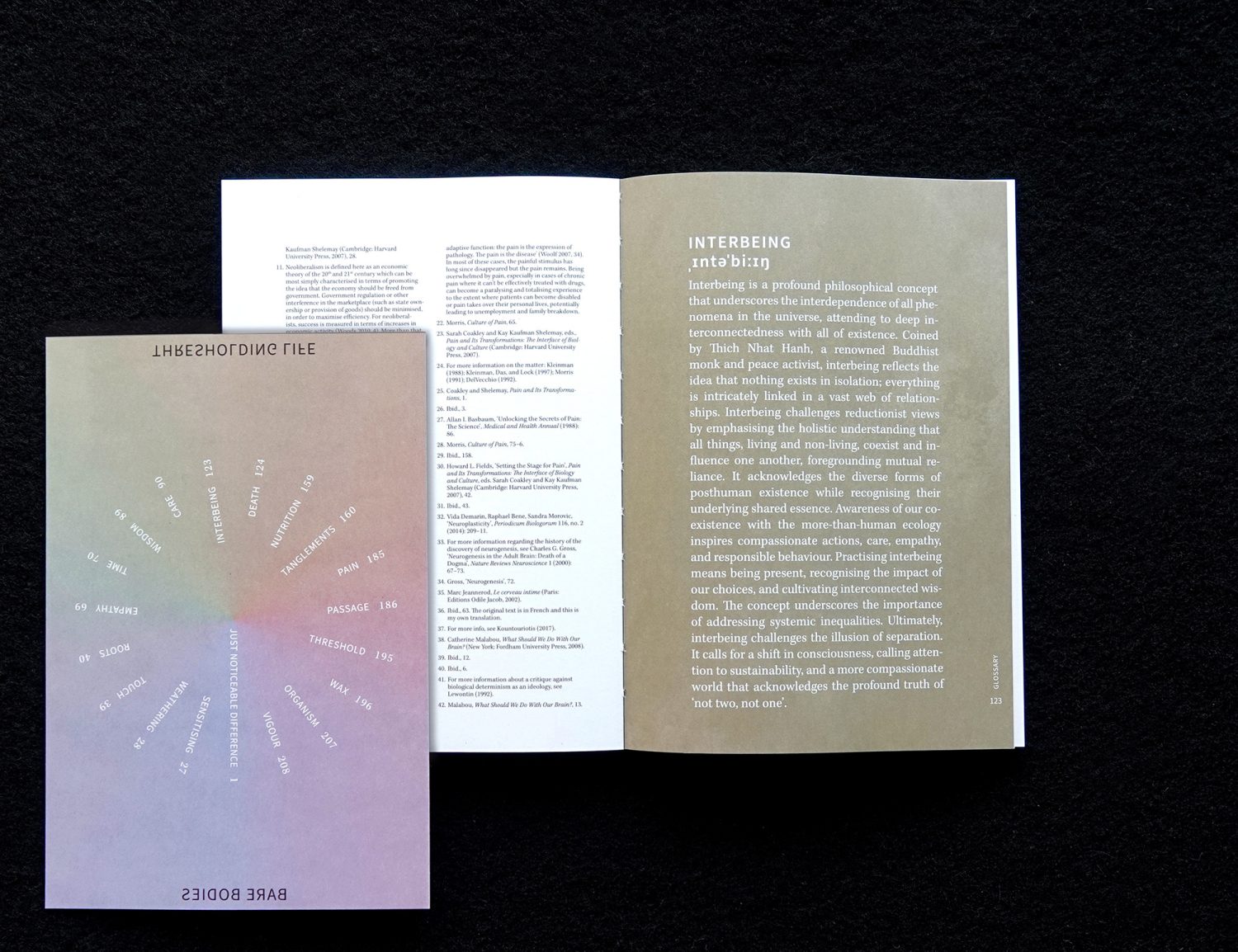 Bare Bodies – Thresholding Life, Blick ins Buch