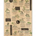 Faltkarte: Wildes Sammeln