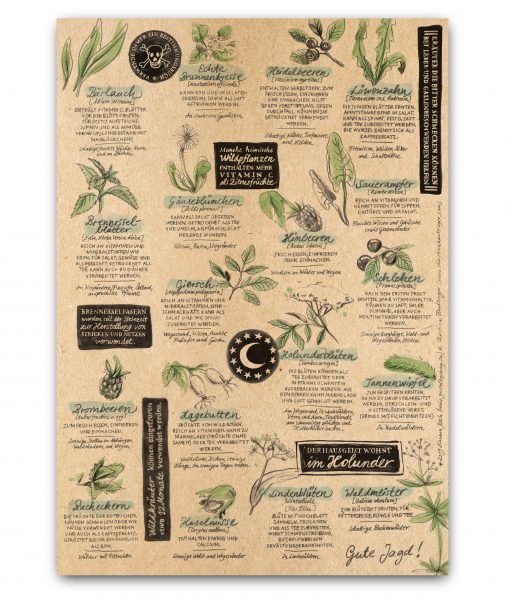 Faltkarte: Wildes Sammeln