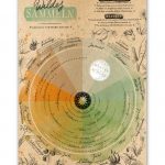 Faltkarte: Wildes Sammeln