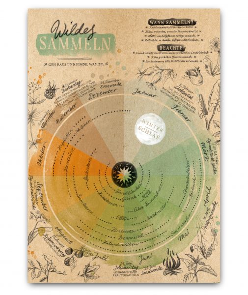 Faltkarte: Wildes Sammeln